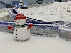 -哈尔滨热雪奇迹