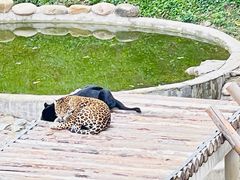 -石家庄市动物园