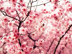 -白塘生态植物园