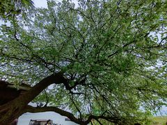 -东钱湖小普陀景区