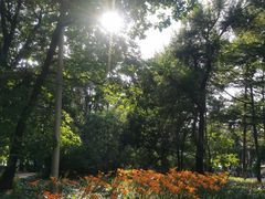 -长春市南湖公园