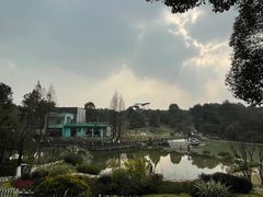 -铁山坪森林公园