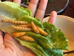 -滇野云南野生菌餐厅(陕西南路店)