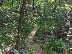 -阳台山自然风景区