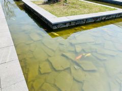 -江苏三台山国家森林公园