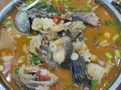 -全乐鱼馆·淳牌有机鱼直营店