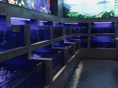 -福州罗源湾海洋世界旅游区