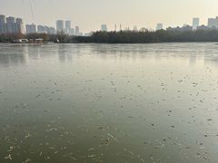 -洛阳市隋唐城遗址植物园