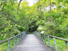 -西湖风景区-江洋畈生态公园