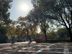 -上海交通大学(闵行校区)