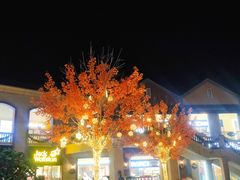 -王府井奥莱临潼小镇(临潼店)