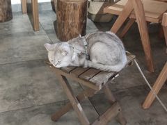 -冰拾叁(新都店)