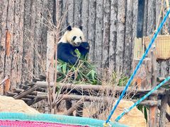 -大青山野生动物园
