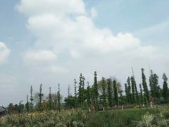 -眉山湿地公园(东坡区)