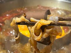 -谭鸭血老火锅(万象九宜城店)