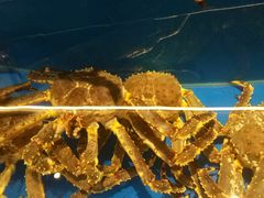 -綱元·海鲜豆捞(明州里店)