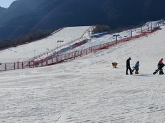 -北京西山滑雪场