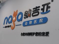 -纳吉亚猫专科动物诊疗中心(蒋宅口分院)