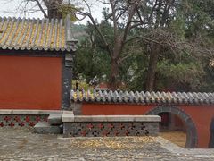 -泰山风景名胜区-普照寺