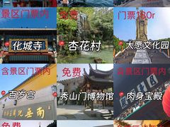 -枣子树·素食餐厅(普陀山店)