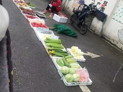 -绿禾农贸市场