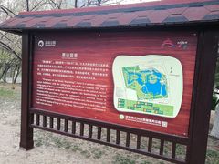 -大兴滨河森林公园