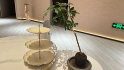 -丽都整形美容医院·全国连锁旗舰店