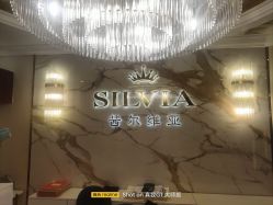 -茜尔维亚修身连锁