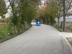 -鹅湖玫瑰文化园