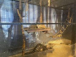 -酷嗒动物文化乐园(cutezoo西溪乐天城店)