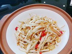 白芹-香山湖华璋大酒店(新浦路店)