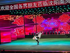 -南风大剧院莎梦二人转剧场