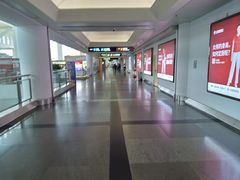 -厦门高崎国际机场-T3航站楼