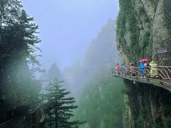 -老君山风景名胜区
