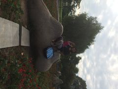 生态园-祥源·阜阳生态乐园