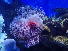 -左海海底世界