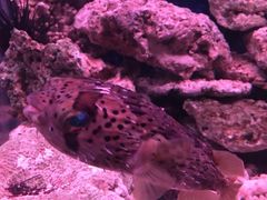 -多彩贵州城极地海洋世界