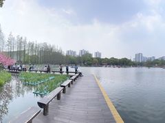 -圩墩遗址公园