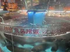 -魏铭鱼头捞饭(晋阳路店)