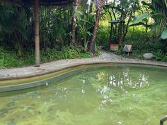 -碧桂园润杨溪谷温泉酒店