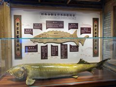 水产区-胖姐渔村(中源大道店)