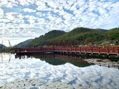-广州市石门国家森林公园