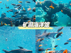 -长鹿旅游休博园
