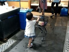 -盒马鲜生(曜一城店)