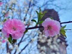 -玲珑塔公园