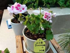 -南京财经大学（仙林校区）-图书馆