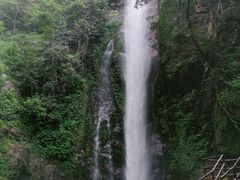 -莫里热带雨林景区