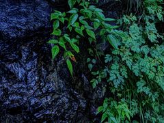 -萍乡武功山风景名胜区