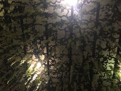 -1907光影俱乐部-电影生活馆