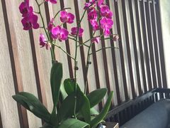 -韵道养生.足道.按摩.SPA(古美店)